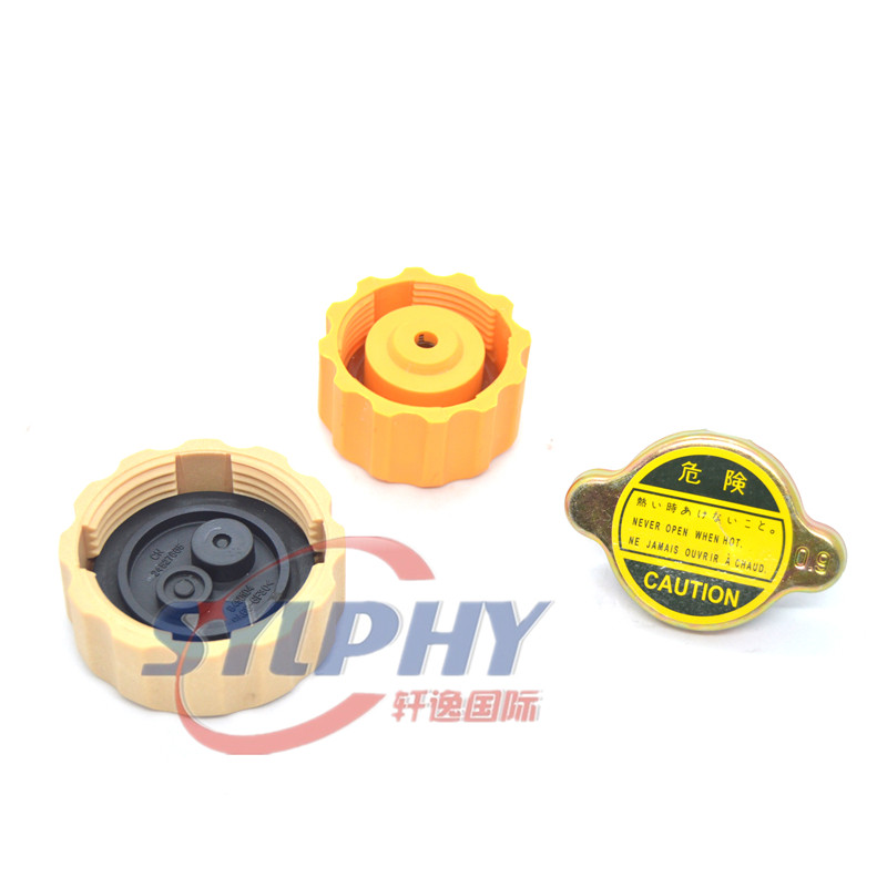 Dfsk Mini Dump Truck V27 Dongfeng Expansion Tank Cover 