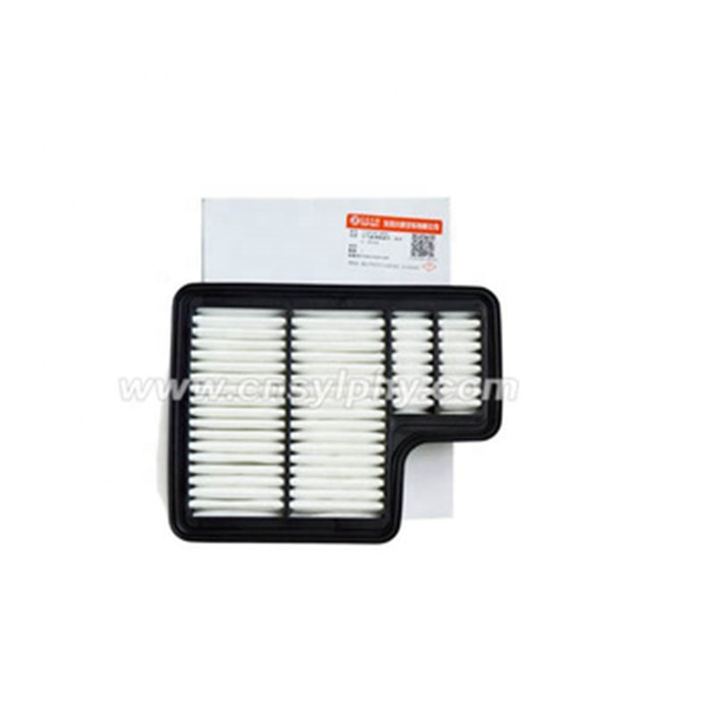 DFSK dfm Glory 580 1109120-SA02 Air Filter Core 